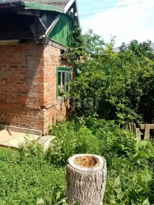 Дом в Ростовская область, Таганрог Мичуринец-2 садовое товарищество, ... - Фото 1