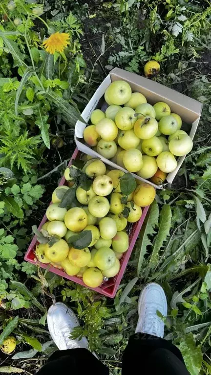 Дом в Красноярский край, Красноярск Заречная ул., 41 (55 м) - Фото 1