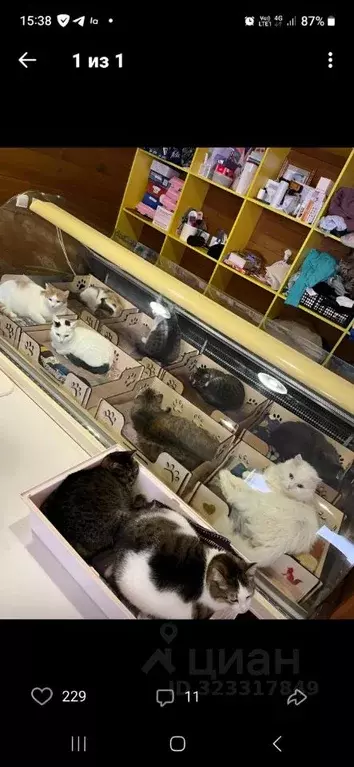 1-к кв. Красноярский край, Красноярск просп. 60 лет Образования СССР, ... - Фото 1