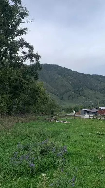 Участок в Алтай, Чемальский район, с. Анос ул. Полевая (10.0 сот.) - Фото 1