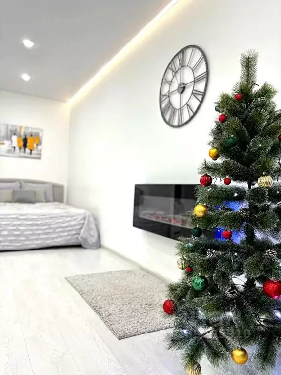 Студия Псковская область, Псков Ольгинская наб., 5А (40.0 м) - Фото 1