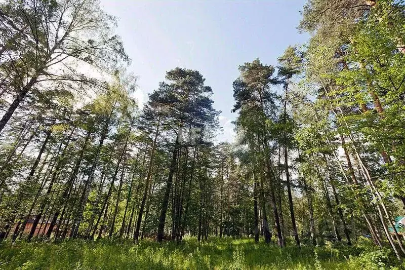 Участок в Московская область, Одинцовский городской округ, с. ... - Фото 2