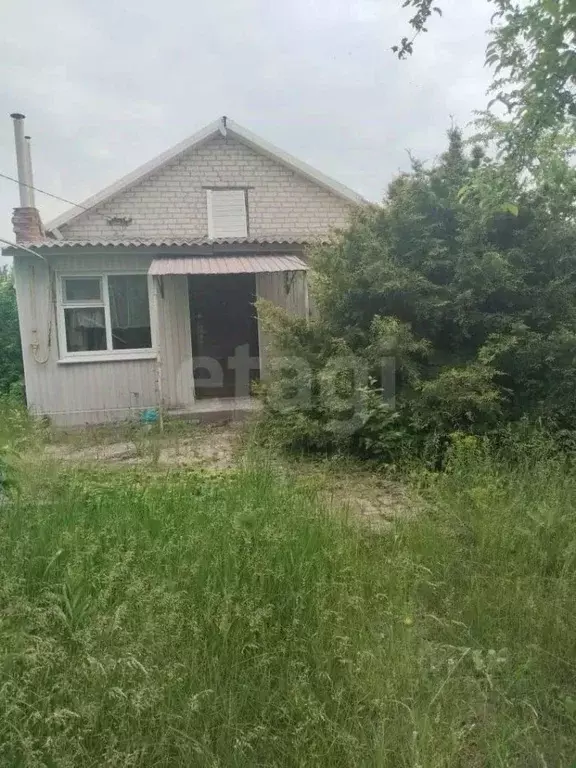 Дом в Белгородская область, Вейделевка рп ул. Мира, 53 (64 м) - Фото 1