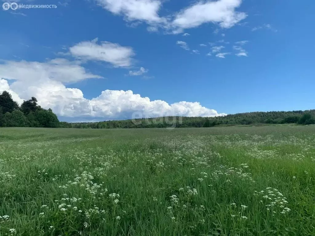 Участок в Республика Карелия, Сортавальский муниципальный округ, ... - Фото 0
