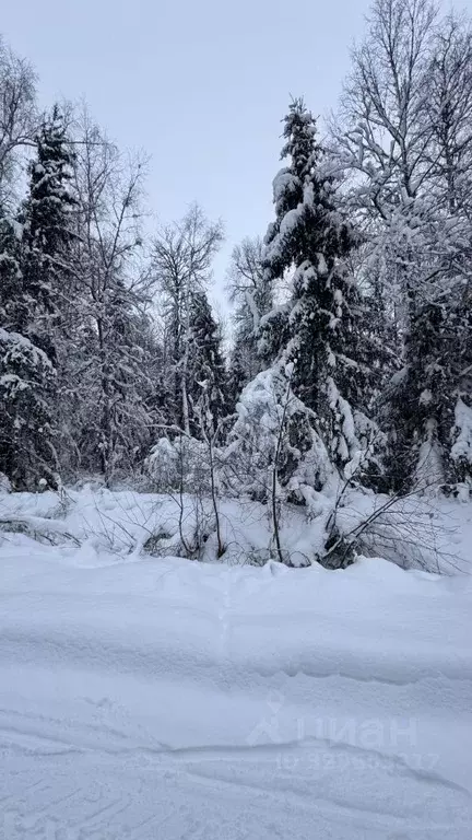 Участок в Московская область, Клин городской округ, Лесной ДСК 664 ... - Фото 1