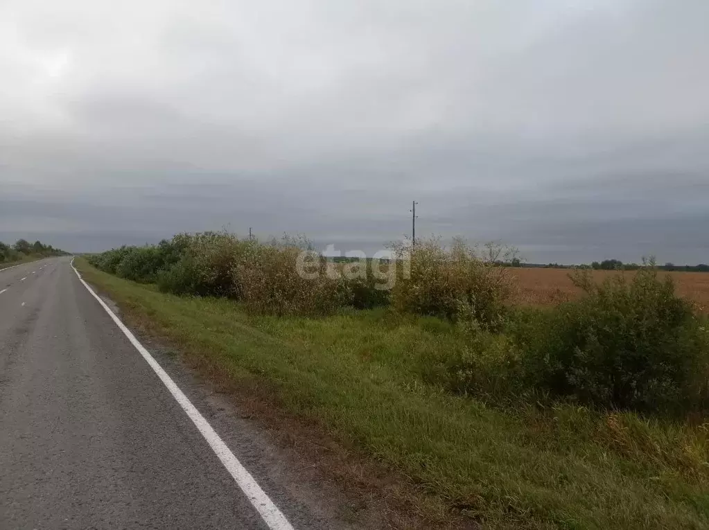Участок, 600 сот., сельхоз (снт или днп) - Фото 1