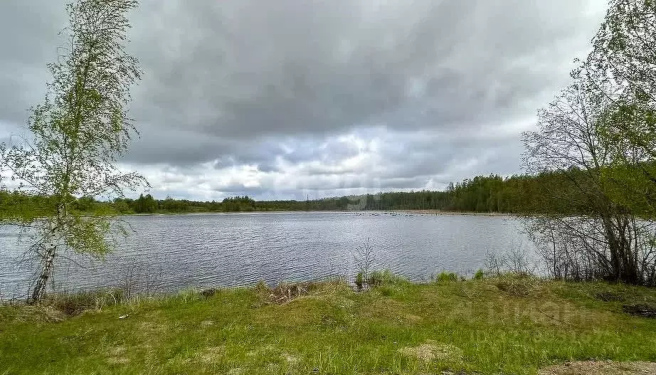 Участок в Ярославская область, Ростовский муниципальный округ, д. ... - Фото 1