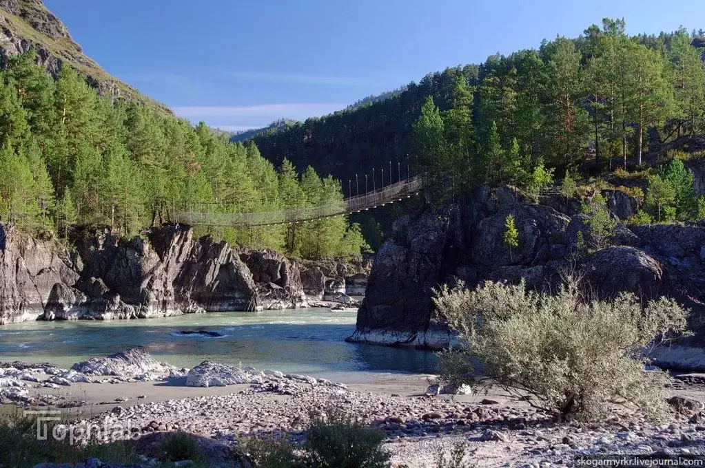 Производственное помещение в Алтай, Чемальский район, с. Чемал ул. ... - Фото 2