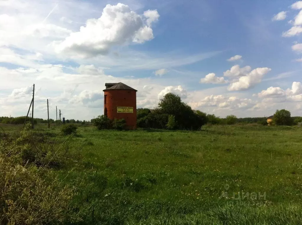 участок в нижегородская область, богородский муниципальный округ, д. . - Фото 0