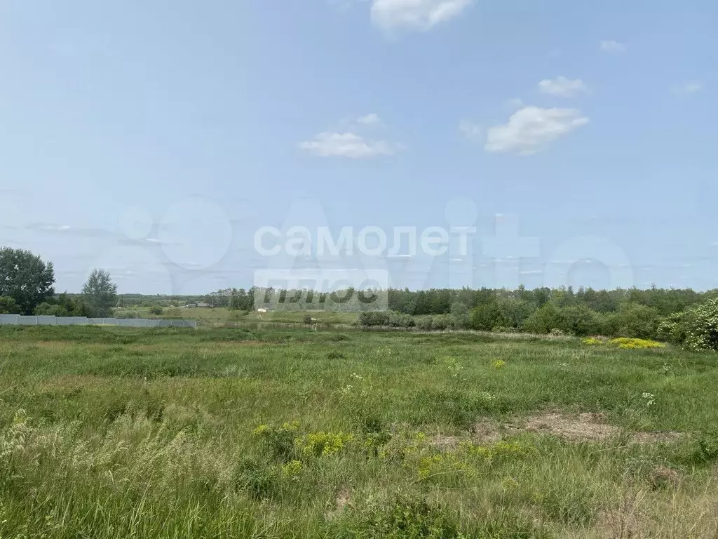 Участок 20,4 сот. (ИЖС) - Фото 0