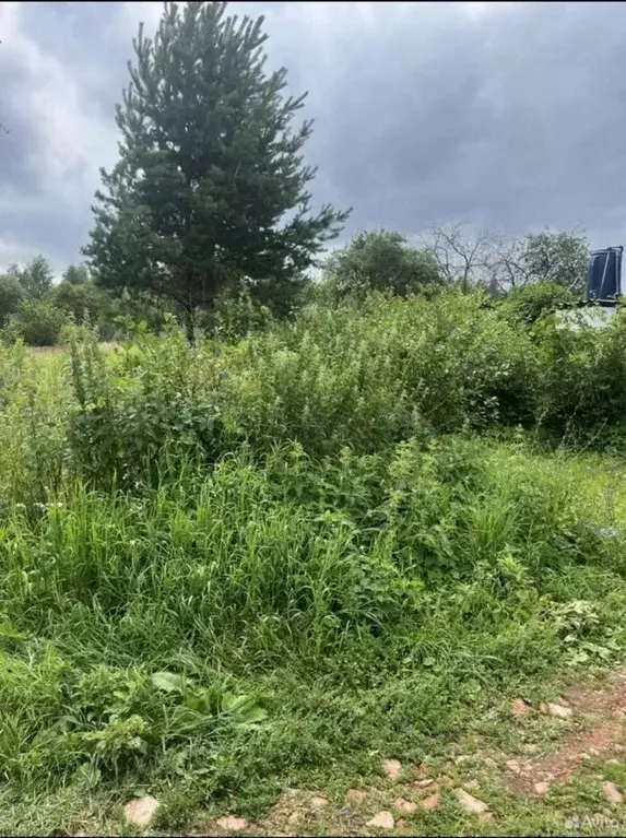 Участок в Московская область, Коломна городской округ, с. Горы ул. ... - Фото 2