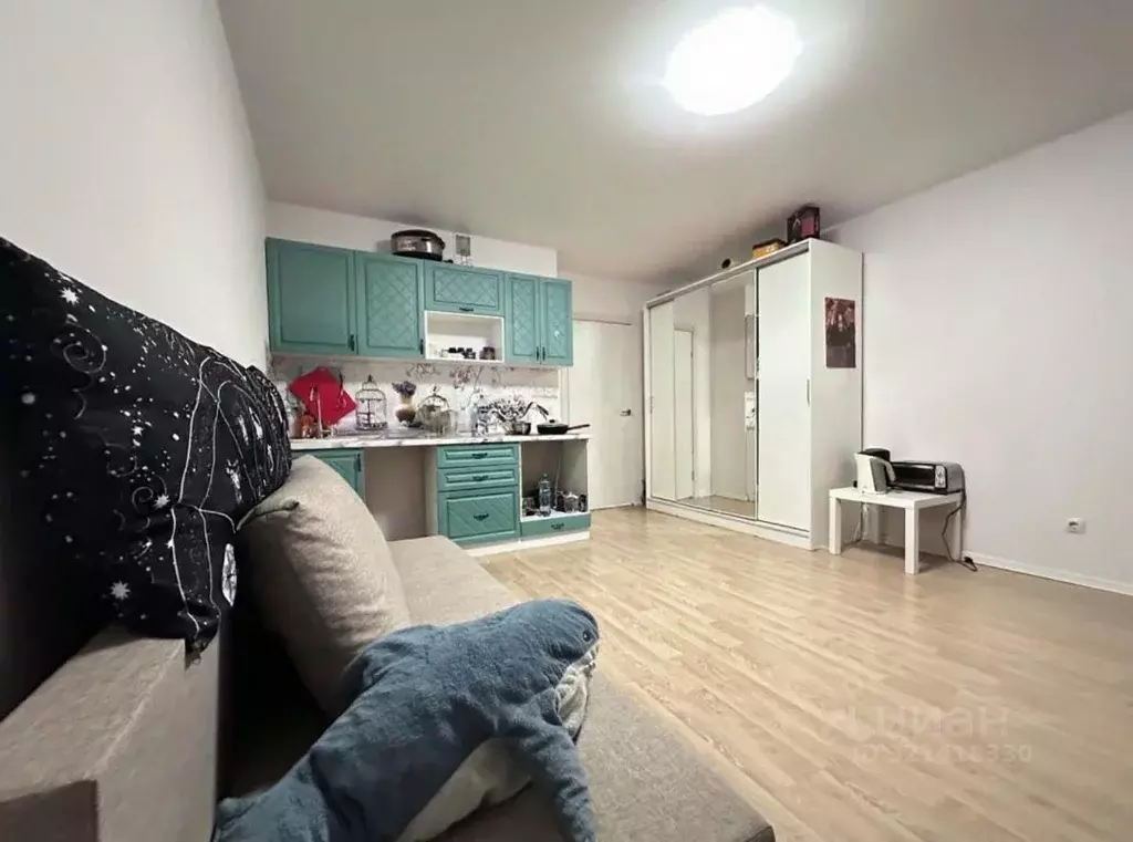 Студия Ленинградская область, Всеволожский район, д. Новое Девяткино ... - Фото 1