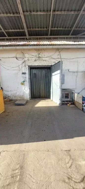 Помещение свободного назначения в Краснодарский край, Сочи ул. ... - Фото 2