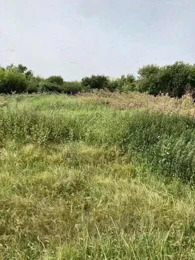Участок в Татарстан, Зеленодольский район, Нижние Вязовые ... - Фото 1