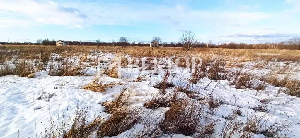 Участок в Костромская область, Кострома Соколиное Гнездо кп, 1 (7.0 ... - Фото 1