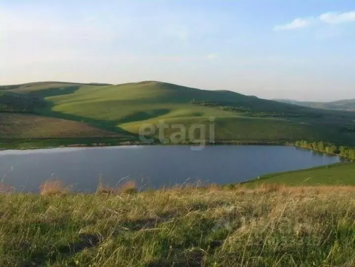 Участок в Алтай, Майминский район, с. Подгорное Центральная ул. (10.0 ... - Фото 2