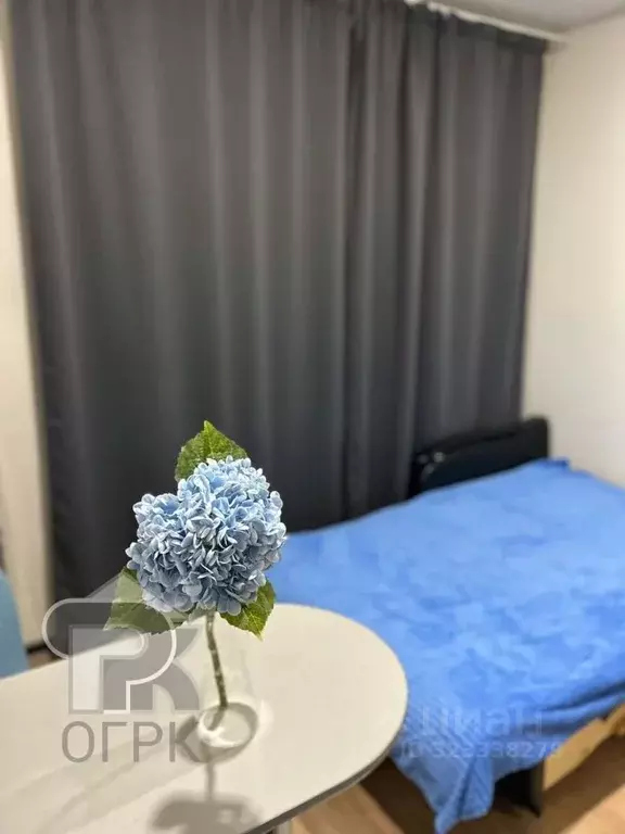 Студия Московская область, Балашиха ул. Безымянная, 16 (19.0 м) - Фото 0