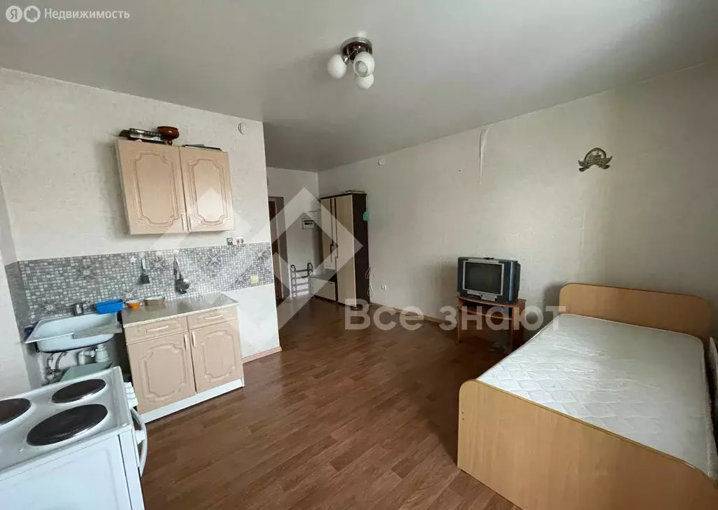 Квартира-студия: село Долгодеревенское, улица 1 Мая, 131А (23.5 м) - Фото 2