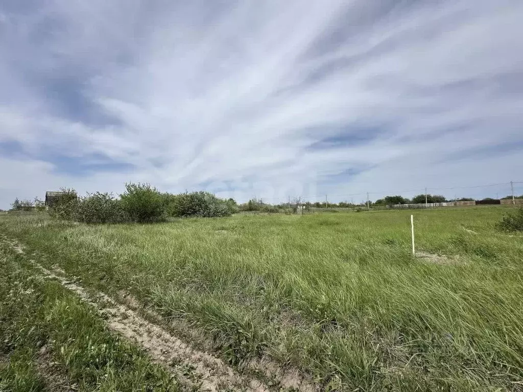 Участок в Белгородская область, Корочанский район, Мелиховское с/пос, ... - Фото 2