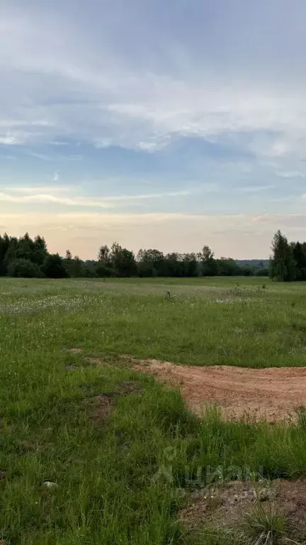 Участок в Ленинградская область, Бокситогорский район, Борское с/пос, ... - Фото 1