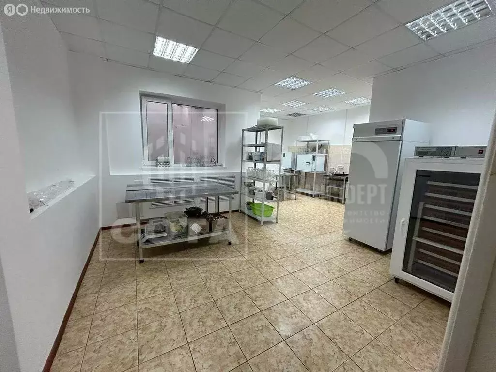 Помещение свободного назначения (76 м) - Фото 0