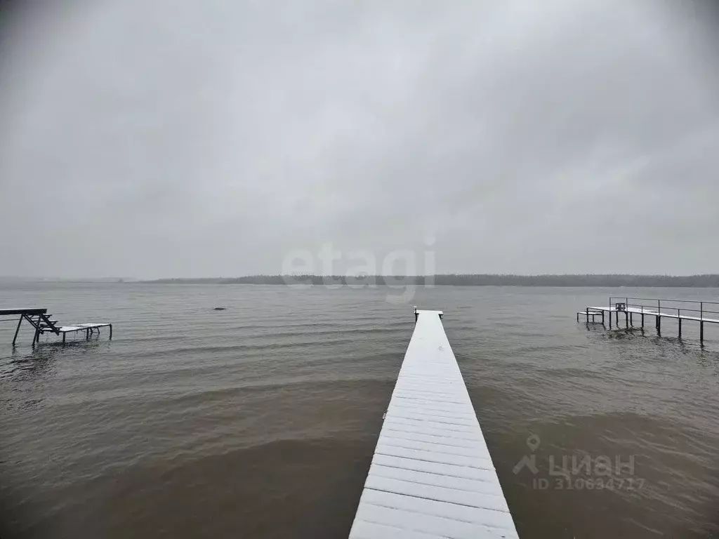 Участок в Костромская область, Красносельский район, Боровиковское ... - Фото 1