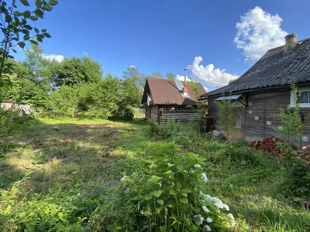 Дом в Новгородская область, Крестцы рп ул. Конева (43 м) - Фото 2