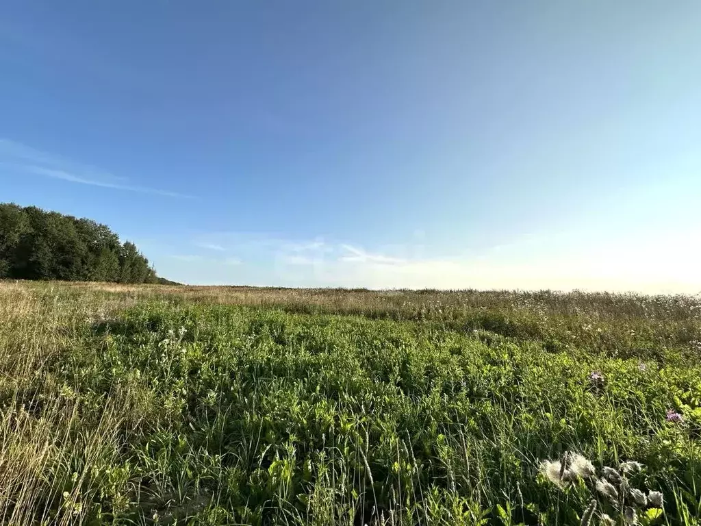 Участок в Вологодская область, с. Первомайское  (8.0 сот.) - Фото 1