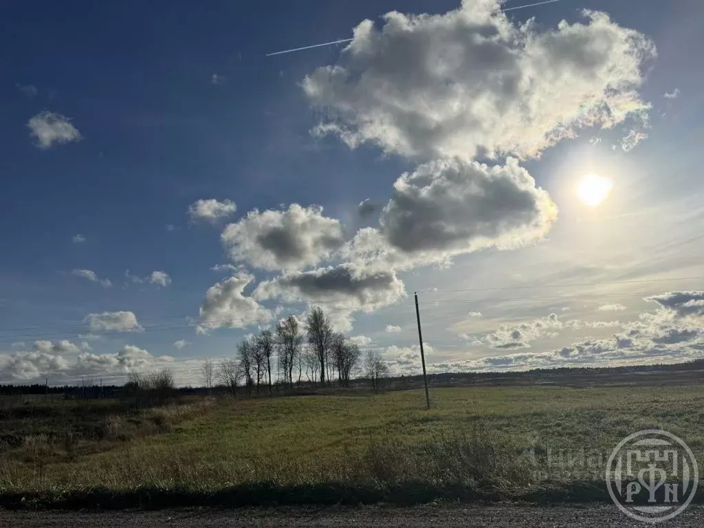 Участок в Ленинградская область, Ломоносовский район, Лопухинское ... - Фото 1