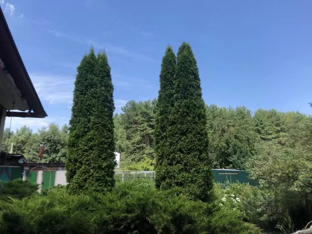 Дом в Пензенская область, Пенза Пчелка СНТ, 114 (66 м) - Фото 2