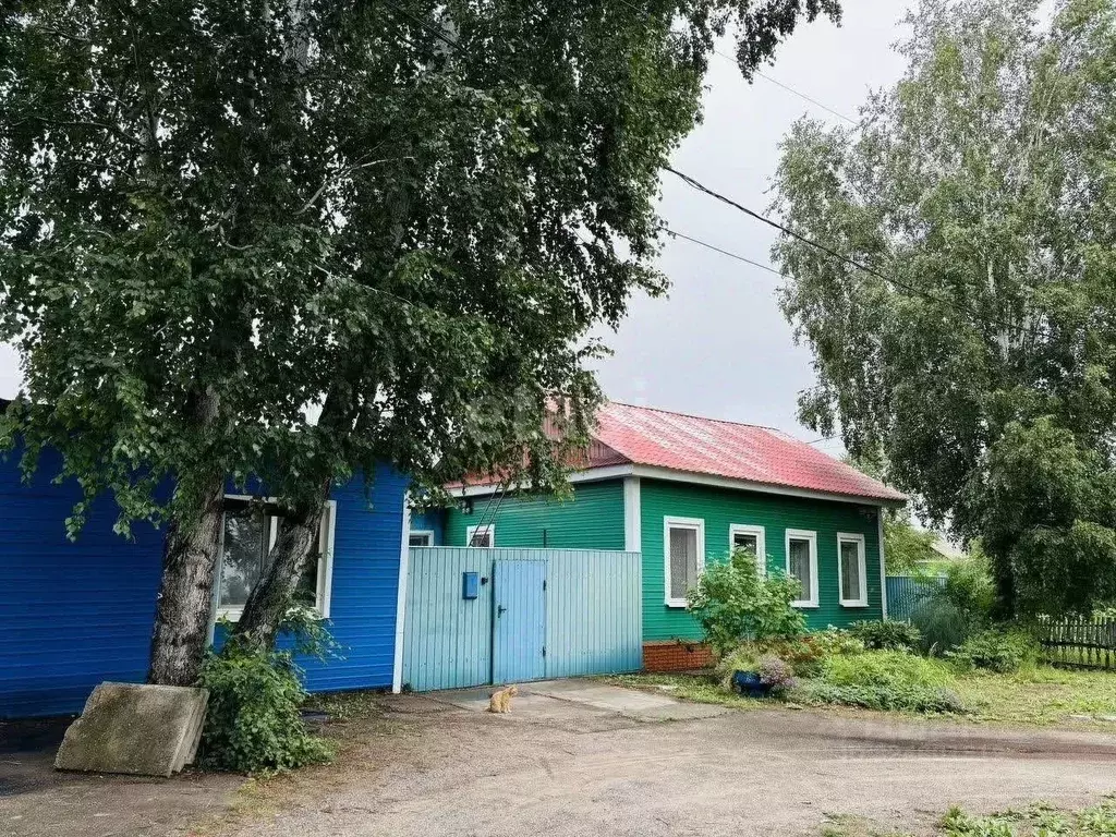 Дом в Амурская область, Благовещенск Перспективная ул., 7 (48 м) - Фото 1