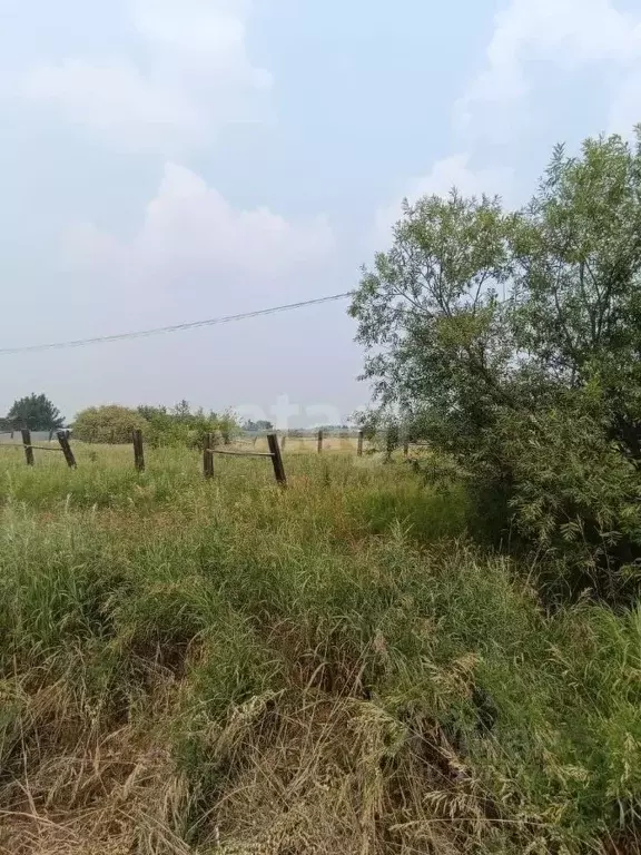 Участок в Амурская область, с. Тамбовка ул. Раздольная (10.0 сот.) - Фото 1