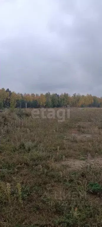 Участок в Брянская область, Брянск Фосфоритная ул. (14000.0 сот.) - Фото 1