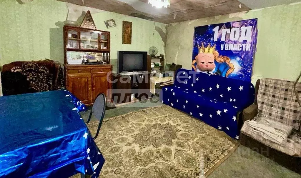 Дом в Московская область, Воскресенск Отдых СНТ, 331 (38 м) - Фото 1