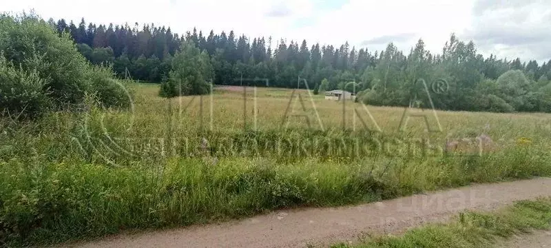 Участок в Ленинградская область, Выборгский район, Селезневское с/пос, ... - Фото 1