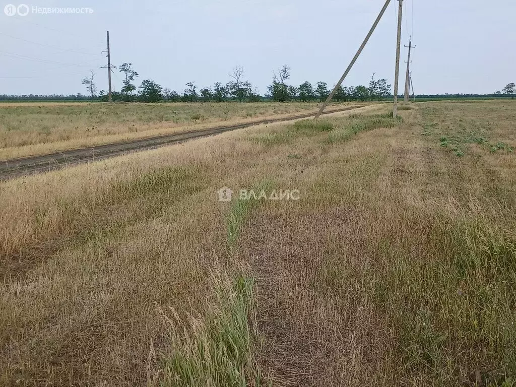 Участок в станица Камышеватская, Пролетарская улица (36 м) - Фото 0