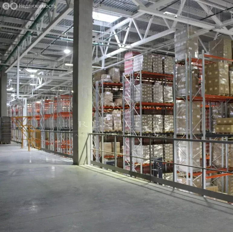 Склад (2000 м) - Фото 2