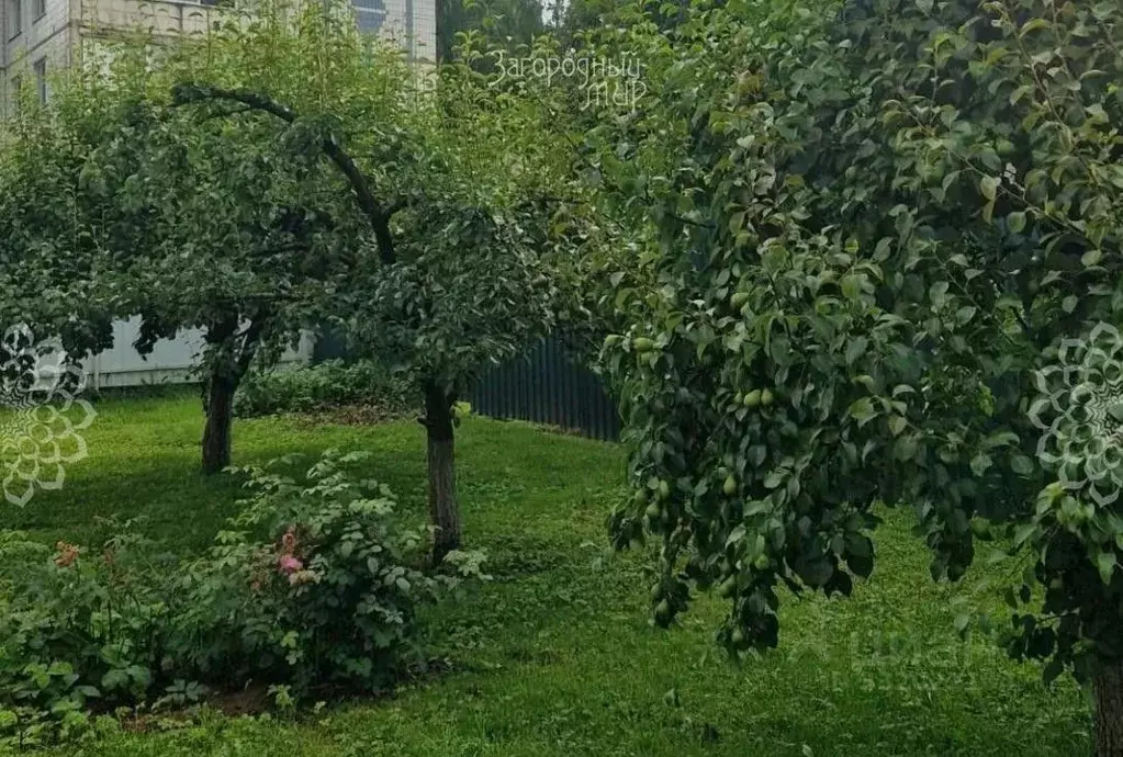 Участок в Московская область, Дмитровский муниципальный округ, пос. ... - Фото 2