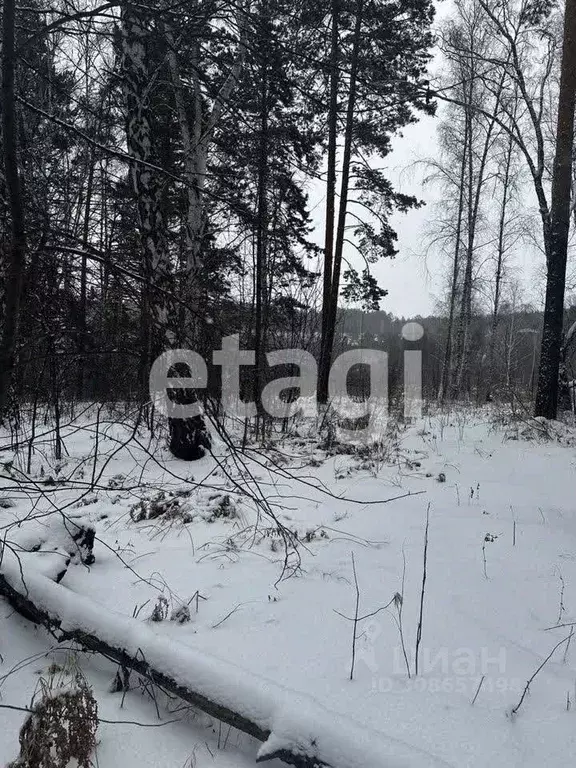 Участок в Красноярский край, Красноярск Ветеран-6А СНТ,  (12.9 сот.) - Фото 0