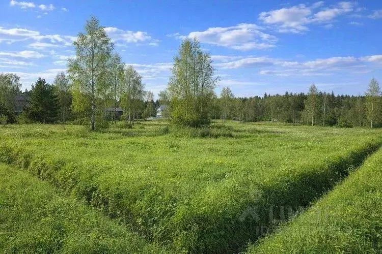 Участок в Московская область, Солнечногорск городской округ, д. Покров ... - Фото 1