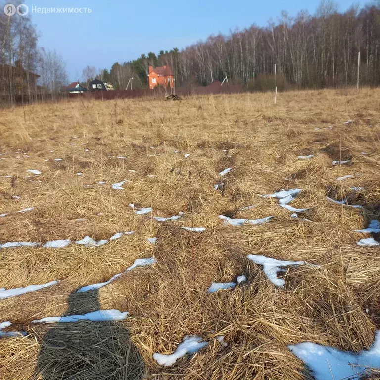 Участок в Московская область, городской округ Серпухов (10.87 м) - Фото 1