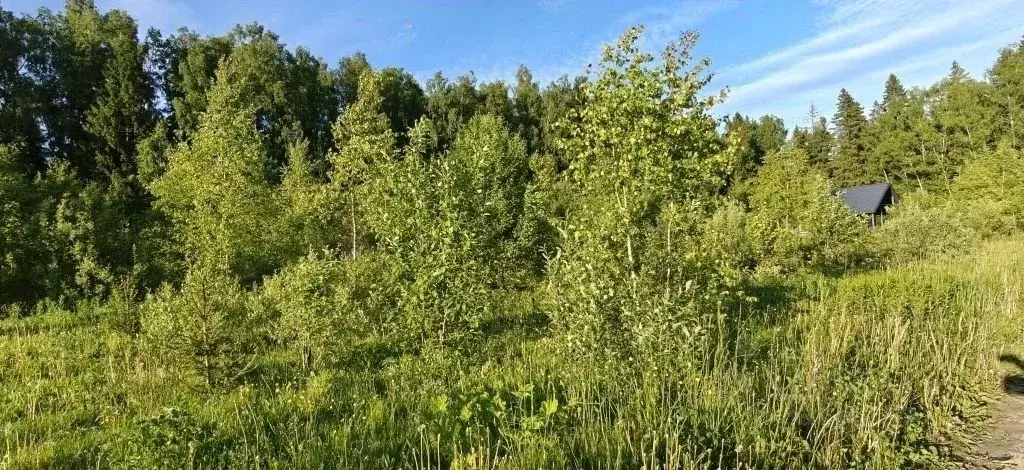 Участок в Московская область, Рузский муниципальный округ, д. Старо  ... - Фото 1