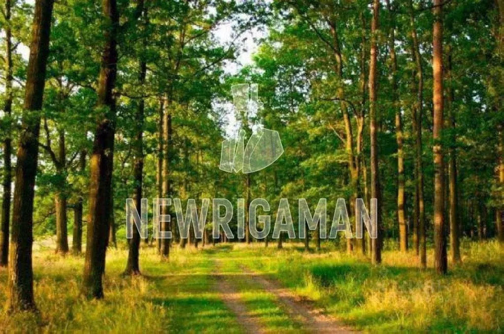 Участок, 19 сот., поселения (ижс) - Фото 2