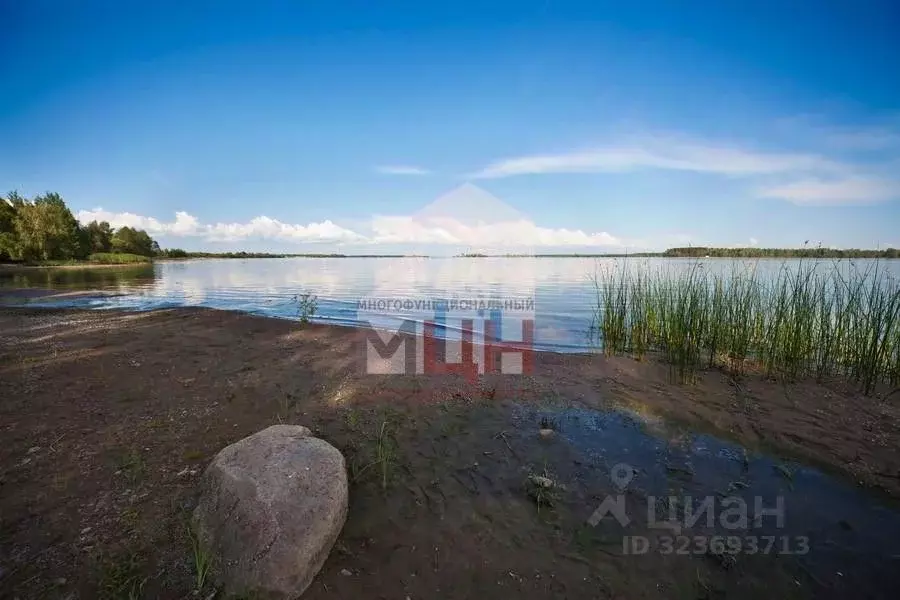 Участок в Тверская область, Конаковский муниципальный округ, д. ... - Фото 2