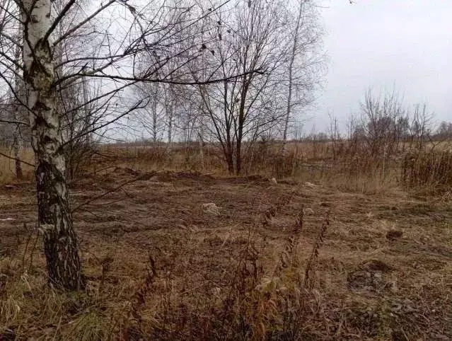 Участок в Московская область, Коломна городской округ, с. Сергиевское ... - Фото 0