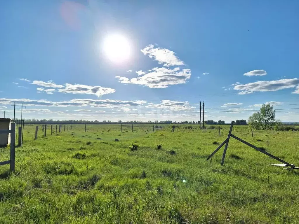 Участок в Башкортостан, Стерлитамакский район, д. Казадаевка, Любажи ... - Фото 1