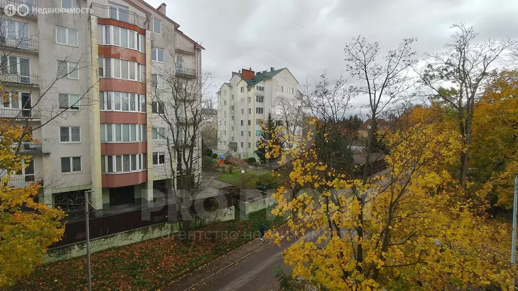 1-комнатная квартира: Калининград, Бассейная улица, 7 (41.7 м) - Фото 1