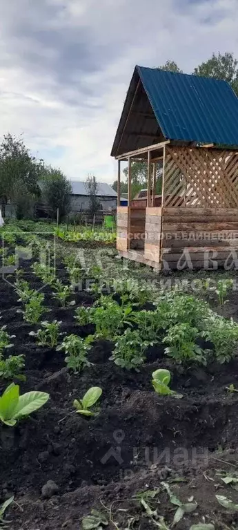 Участок в Кемеровская область, Кемеровский муниципальный округ, ... - Фото 0