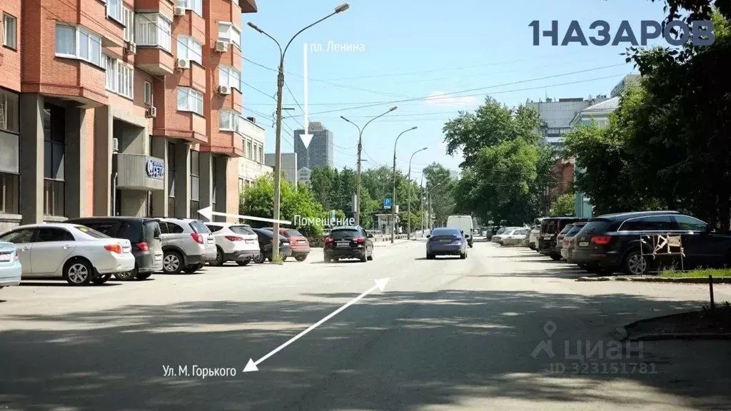 Помещение свободного назначения в Новосибирская область, Новосибирск ... - Фото 2