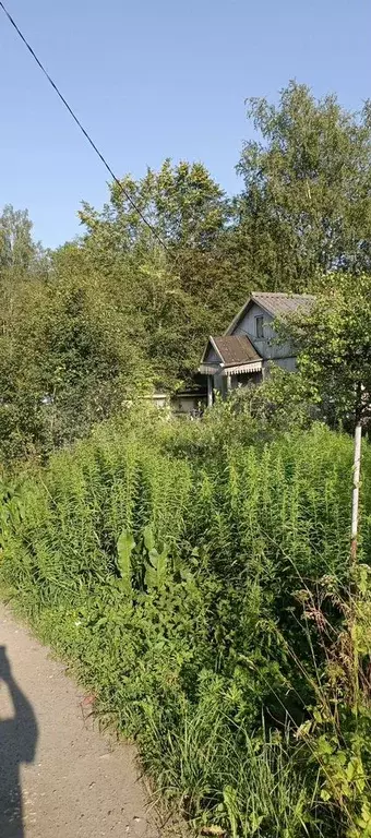 Дача 20 м на участке 6,7 сот. - Фото 0